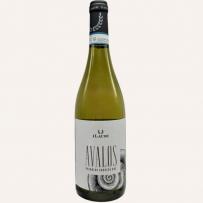 Ilauri - �Avalos� Pecorino 2024 (750ml) (750ml)