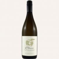 L'Umami - Pinot Gris 2024 (750ml) (750ml)