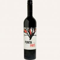 Punta Pays - Malbec 2021 (750ml) (750ml)