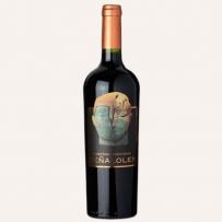 Vina Pe�alol�n - Maipo Valley Cabernet Sauvignon 2021 (750ml) (750ml)